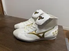 Item thumbnail for item c19f8865-f2bd-46fb-a217-dfc45db42fdb