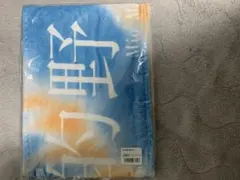 Item thumbnail for item 252c9774-9847-444d-babb-fee765e921e1