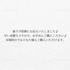 【美品】値段交渉大歓迎♪ Dior ロゴ ネックレス シルバーカラー