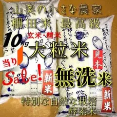「殺虫剤ナシ：農薬不使用：超希少」大粒米／玄米１０キロ「無洗米に精米」のサムネイル