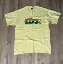 STUSSY Tシャツ 00s