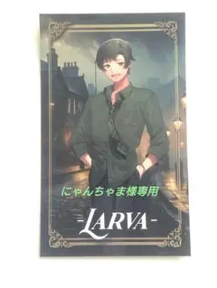 にゃんちゃま様専用 LARVA ステッカー