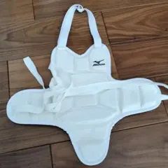 Item thumbnail for item 3431a0cc-72f5-480e-a08d-44c6ca9d7c6d