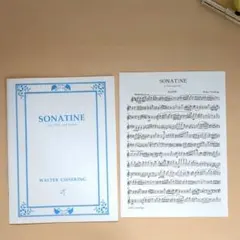 Item thumbnail for item 814a25c6-05b1-4e3a-96e3-1ec6a0e0631e