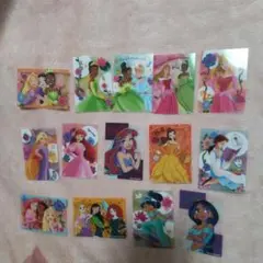 ディズニープリンセス カード 14枚セット