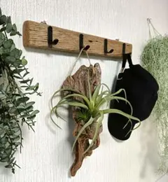 Item thumbnail for item 19c23389-01b5-4ae5-8117-c36f341cf265