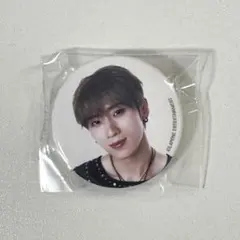 INI XQUARE カプセルトイ ミニ缶バッジ フェンファン