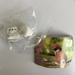 Item thumbnail for item 7ca6f506-4587-4599-b83d-42d6efedd0a3