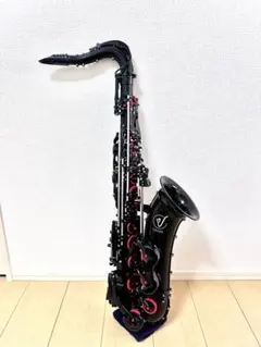 Vibrato ポリカーボネートサックス nudeII スケルトン 透明なサックス！？Vibratoサックス Nudeエディション