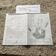 ゴールデンボンバー　鬼龍院翔の直筆婚姻届