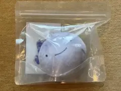 BOYNEXTDOOR プネクド フェイスキーリング ウナク