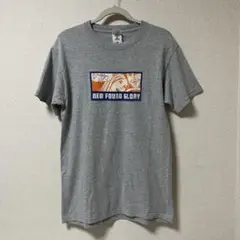 希少 00s NEW FOUND GLORY リキテンシュタイン TシャツM