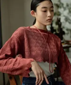【新品、未使用】TAN STUDIOUS別注レースショートトップスのサムネイル