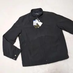 Item thumbnail for item b67887d9-6f88-403d-b4ef-f5dc1fb45a4e