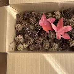 オリーブYQHPUB様 リクエスト 4点 まとめ商品