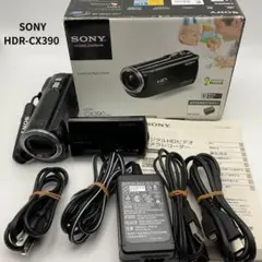 2026年最新】HDR_CX390の人気アイテム - メルカリ