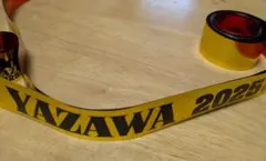 Item thumbnail for item ca3da600-9e41-48cb-a237-676579a95df2