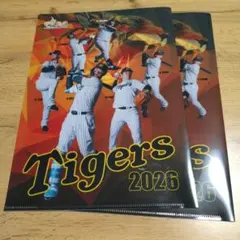 阪神タイガース 2014 クリアファイル 2枚セット - メルカリ