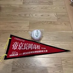 明治神宮大会　帝京長岡高校ボール、ペナント