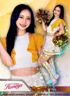 Item thumbnail for item d6a8a661-6733-4078-81fd-eacbb58fd7f4