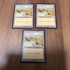 MTG APAC 平地　万里の長上　Rebecca Guay