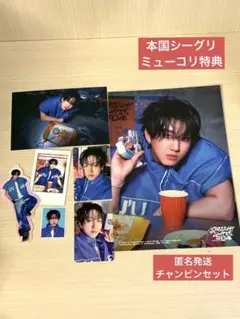 チャンビン セット シーグリ 本国 2026 店舗特典 ミューコリ