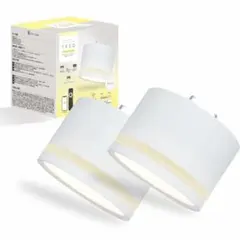 エジソンスマート 3Way点灯できるミニシーリングライト　TREO スマート照明