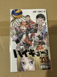 ハイキュー!! 33.5 特別版 劇場版