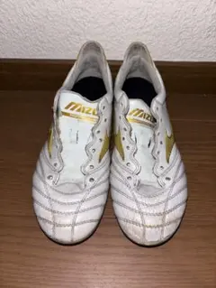 F*房様 Mizuno モレリアネオ　限定カラー