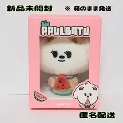 PPULBATU バムグッ スイカ ぬいぐるみキーリング　公式