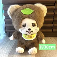 レア】セキグチ製 モンチッチ フレンズ タヌタヌ レインボーSサイズ