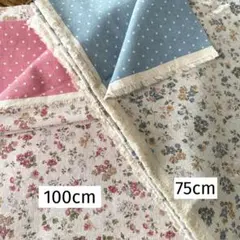 ＊綿麻リバーシブル＊花柄ドット生地2色セット