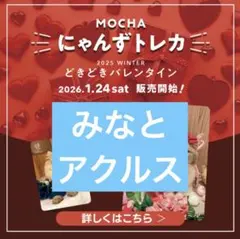 猫カフェ mocha いちご収穫祭 トレカ ららぽーと名古屋みなとアクルス店 猫カフェ mocha いちご収穫祭 トレカ ららぽーと名古屋みなとアクルス