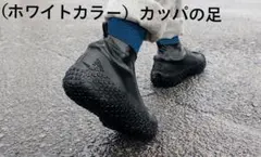 [새상품] (화이트) 카파 레그