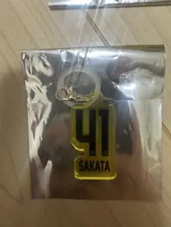 Item thumbnail for item c4819b97-c852-415b-8f65-e3a5ad4f6dea