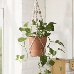 IKEA ANVÄNDBAR ハンギングプランターのサムネイル