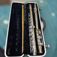 Item thumbnail for item 3c1b8621-1f0b-43b5-ba7f-6b84baf0e8e2