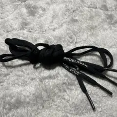 Item thumbnail for item 3e701df6-40ee-4f88-898a-9e7d675a4d81