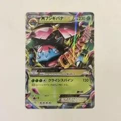 妙蛙花EX RR 寶可夢卡牌 XY1 002/060 收藏X