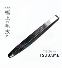 Item thumbnail for item b4fab31b-c623-408b-96df-8c6677c53805