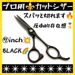 美容師 セット ミズタニ 武芸 ロイヤルマスター 光シザー トギノン