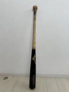 Item thumbnail for item c2015d58-6a37-4c1b-94f7-09276a976e99