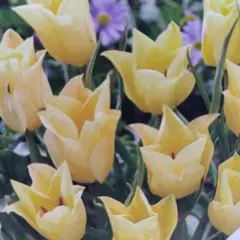 min.t様 リクエスト 2点 まとめ商品