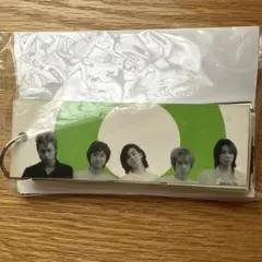 嵐 PIKA☆NCHI ピカンチ 映画 グッズ パンフレット