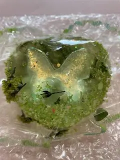 【新品未使用】花姫スクイーズ