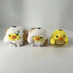 キイロイトリ　 神戸店 2周年記念　ウィンク　ぶるぶるのんびりねこ　3点セット