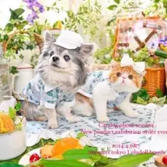 ルルドール　花柄カジュアル犬服 小型犬用　Ｓサイズ