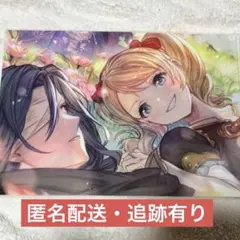 グラブル グラフェス サプチケイラストクリアファイルvol.4 - メルカリ