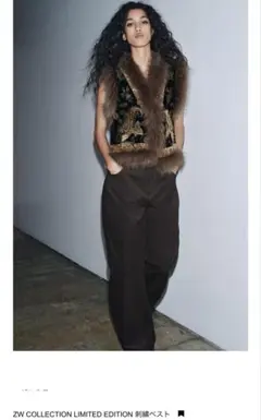 zara zw COLLECTION LIMITED EDITION 刺繍ベスト