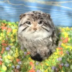 ふみふみしっぽのマヌルネコ あみぐるみのサムネイル